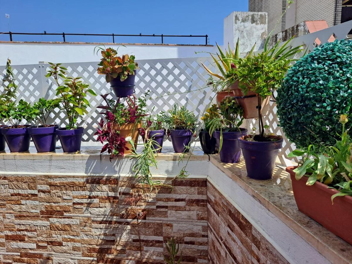 Апартаменты Atico Duplex Marques De Reyes Севилья Экстерьер фото